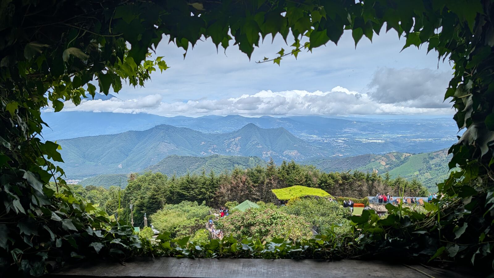 A view of green mountains framed by an arch of vines